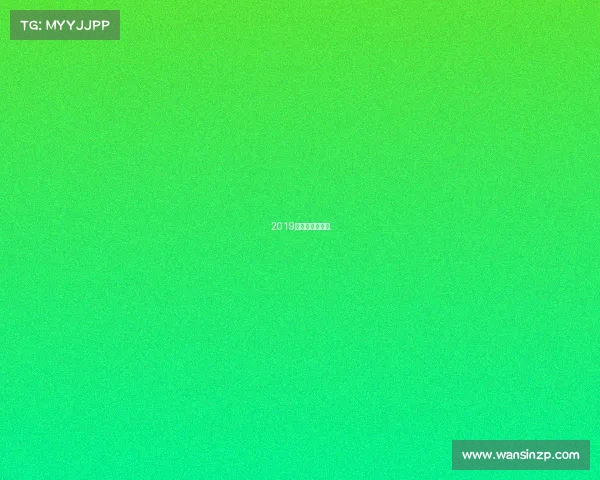 2019女排赛事时间表